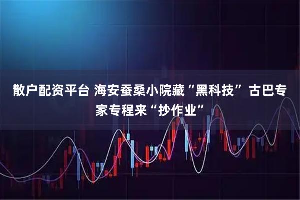 散户配资平台 海安蚕桑小院藏“黑科技” 古巴专家专程来“抄作业”
