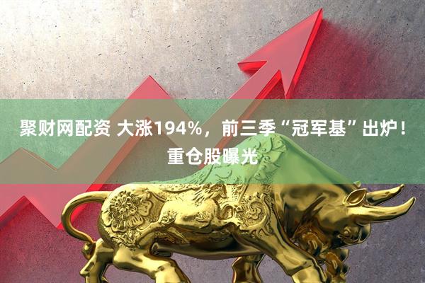 聚财网配资 大涨194%，前三季“冠军基”出炉！重仓股曝光