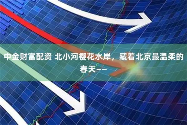 中金财富配资 北小河樱花水岸，藏着北京最温柔的春天——