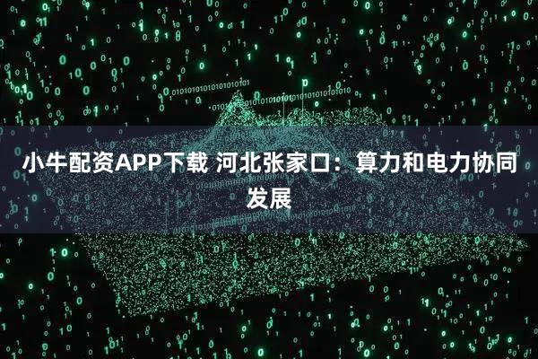 小牛配资APP下载 河北张家口：算力和电力协同发展