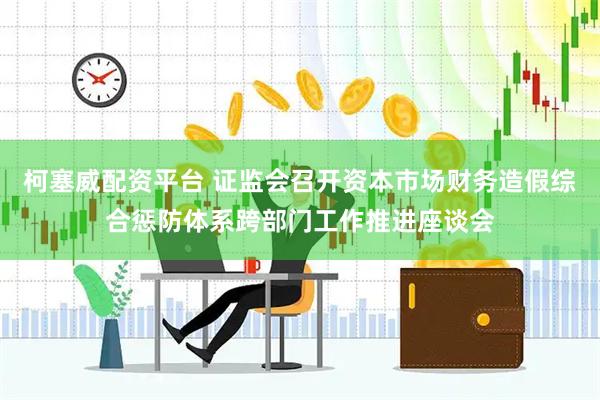柯塞威配资平台 证监会召开资本市场财务造假综合惩防体系跨部门工作推进座谈会